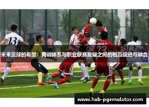 未来足球的希望：青训体系与职业联赛发展之间的相互促进与融合