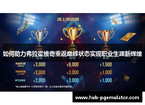 如何助力弗拉霍维奇重返巅峰状态实现职业生涯新辉煌