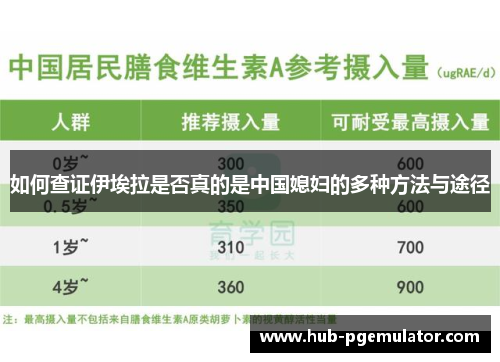 如何查证伊埃拉是否真的是中国媳妇的多种方法与途径