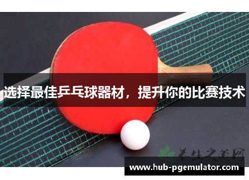 选择最佳乒乓球器材，提升你的比赛技术