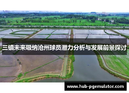 三镇未来吸纳沧州球员潜力分析与发展前景探讨