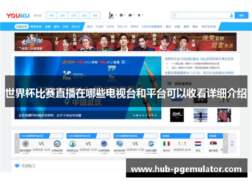 世界杯比赛直播在哪些电视台和平台可以收看详细介绍