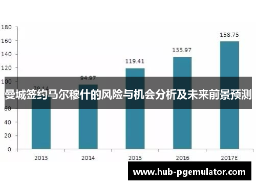 曼城签约马尔穆什的风险与机会分析及未来前景预测